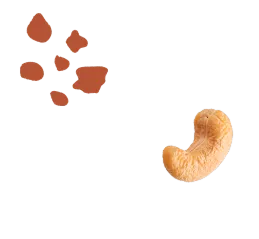 Nuez de la India Terra Artesana