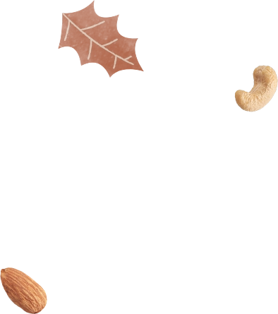 Estrellas Terra Artesana